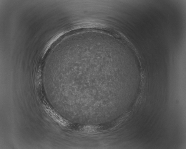 X0000085250875200703161249