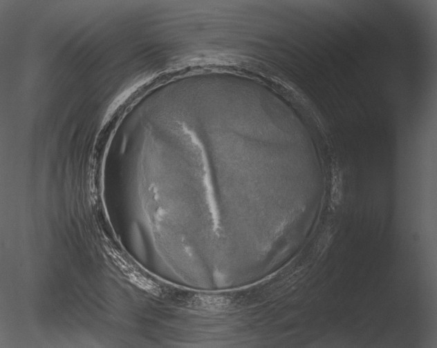 X0000085250878200703161249