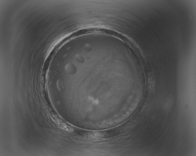 X0000085250879200703161249