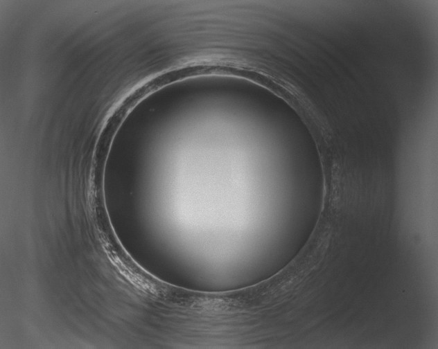 X0000085250880200703161249