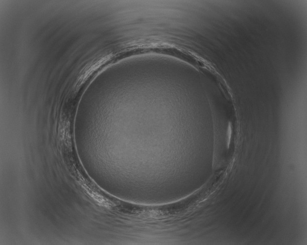 X0000085250881200703161249