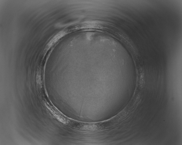 X0000085250882200703161249