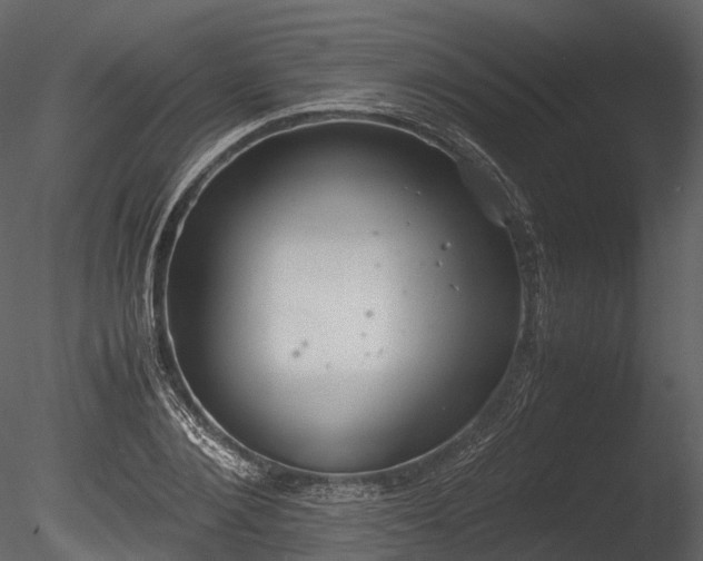 X0000085250884200703161249