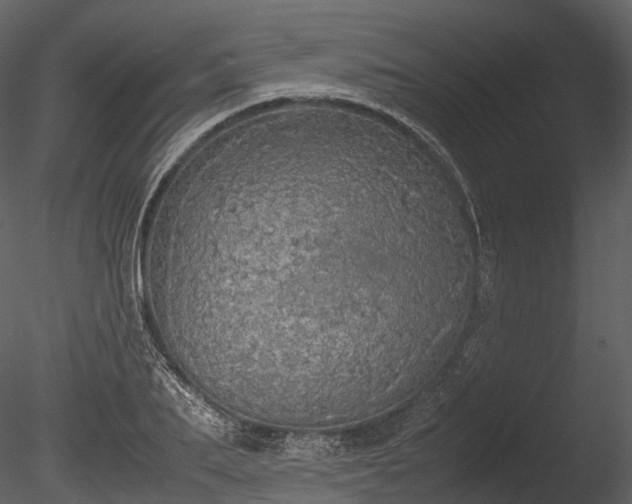 X0000085250887200703161249