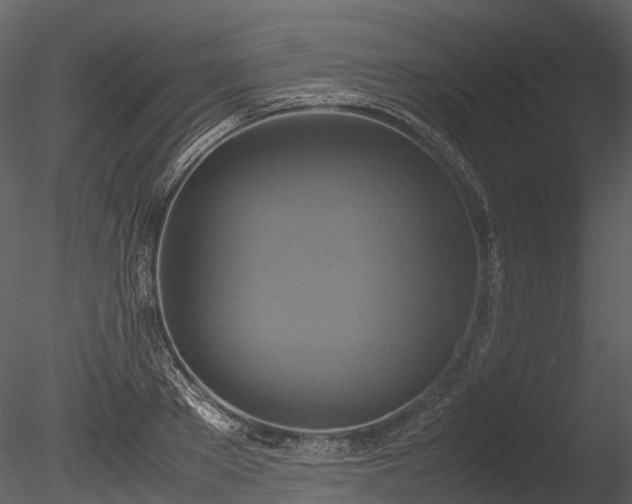 X0000085250889200703161249