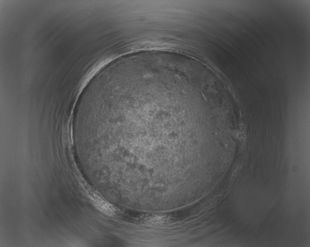 X0000085250891200703161249