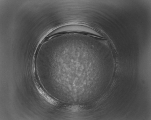 X0000085250892200703161249