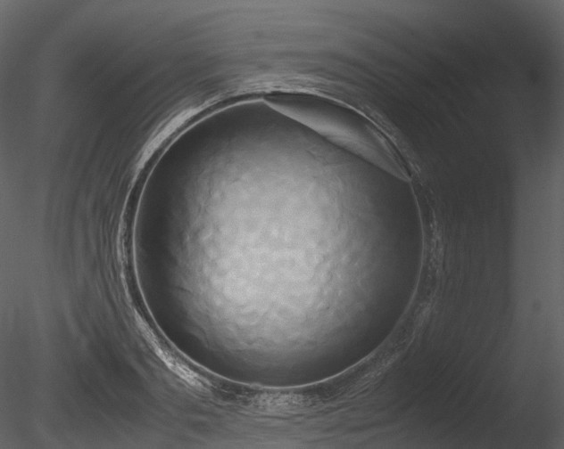 X0000085250893200703161249