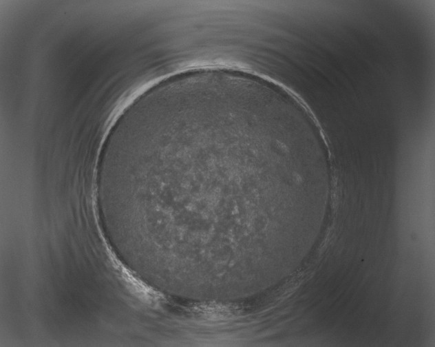 X0000085250895200703161249