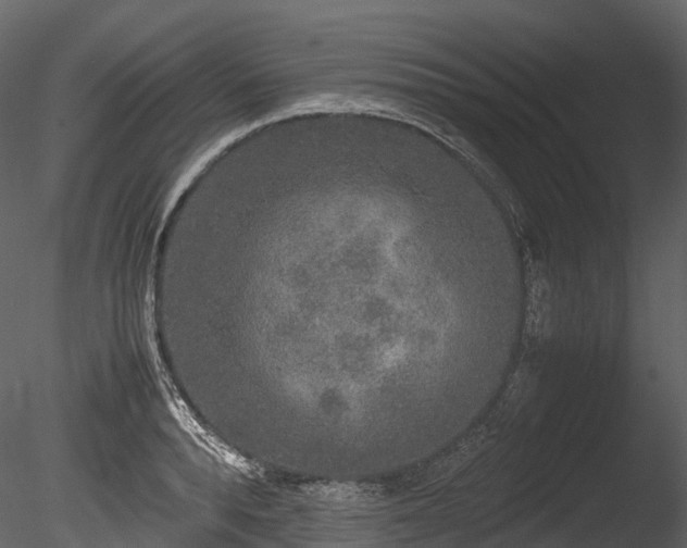 X0000085250896200703161249