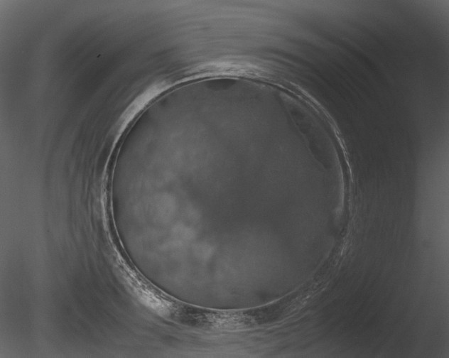 X0000085250899200703161249