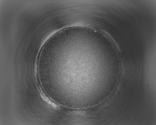 X0000085250900200703161249