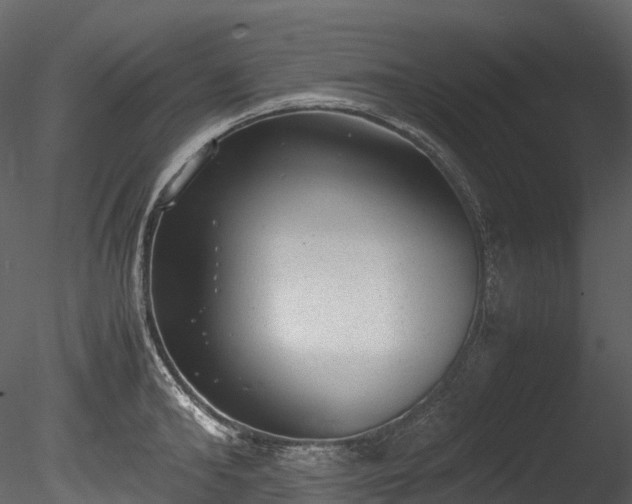 X0000085250902200703161249