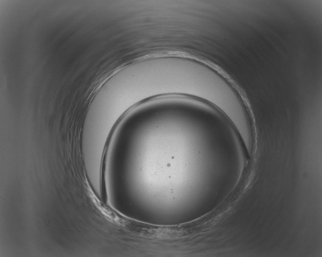 X0000085250905200703161249