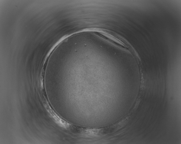 X0000085250908200703161249