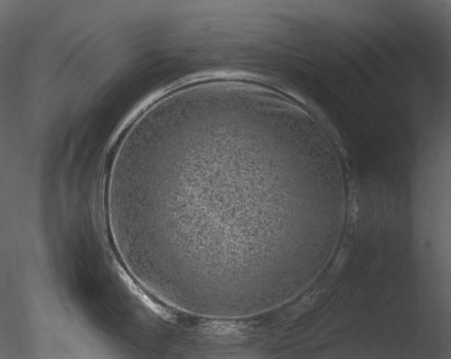 X0000085250910200703161249