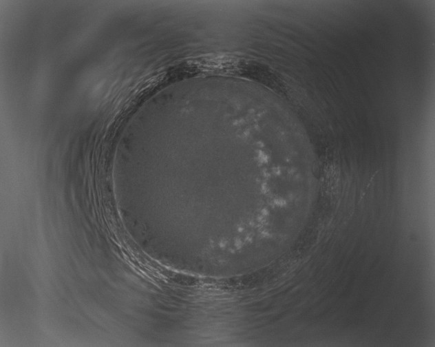 X0000085250913200703161248