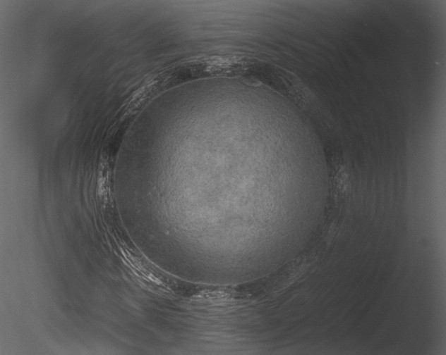 X0000085250914200703161248