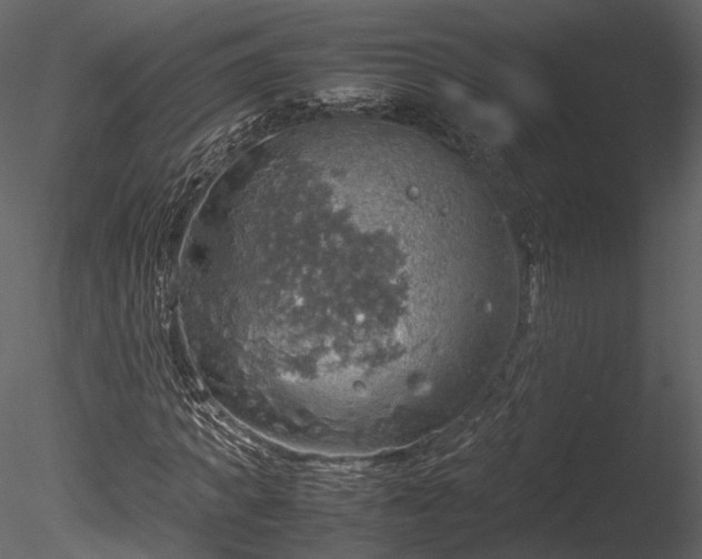 X0000085250917200703161248