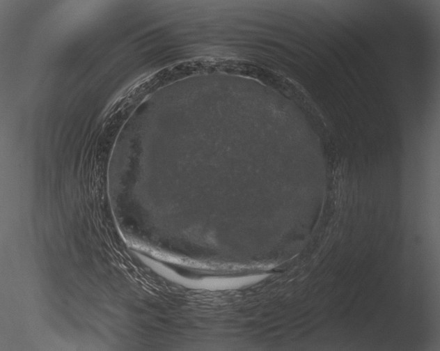 X0000085250919200703161248