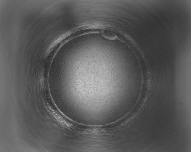 X0000085250922200703161248