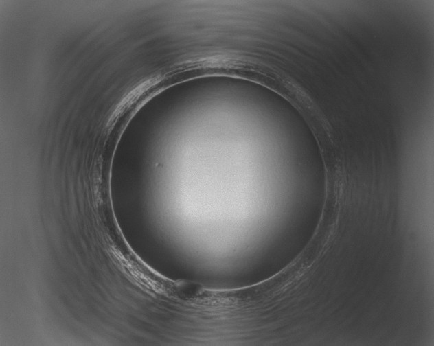 X0000085250930200703161248