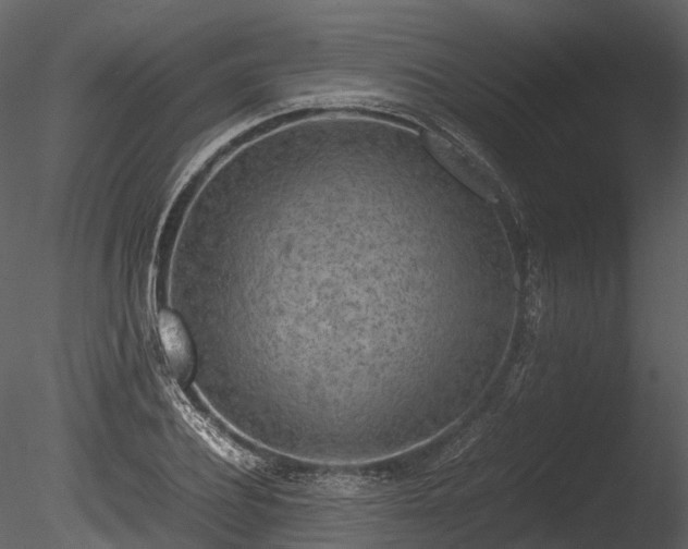 X0000085250932200703161248