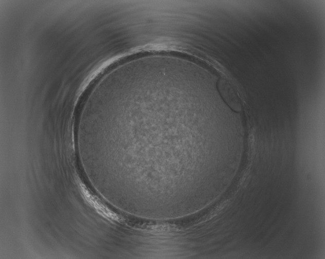 X0000085250934200703161248