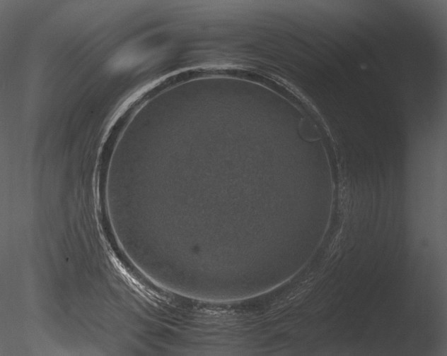 X0000085250935200703161248