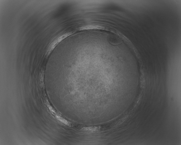 X0000085250937200703161248