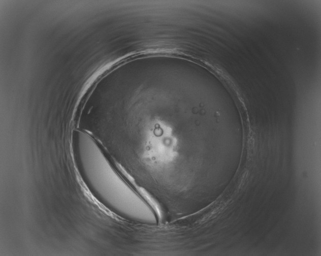 X0000085250941200703161248