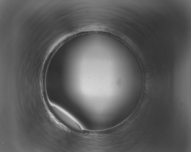 X0000085250942200703161248