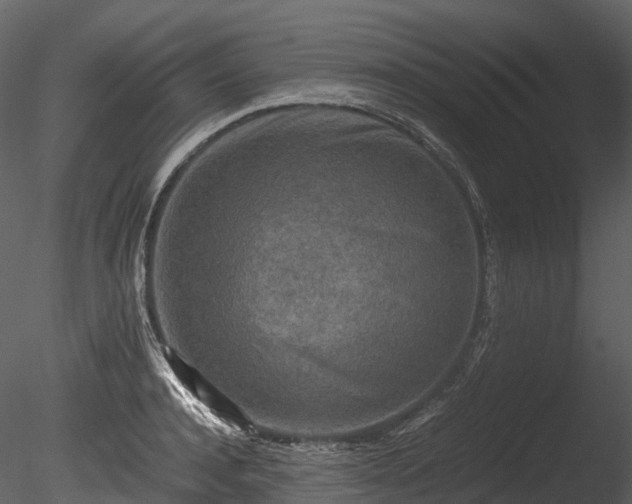 X0000085250944200703161248