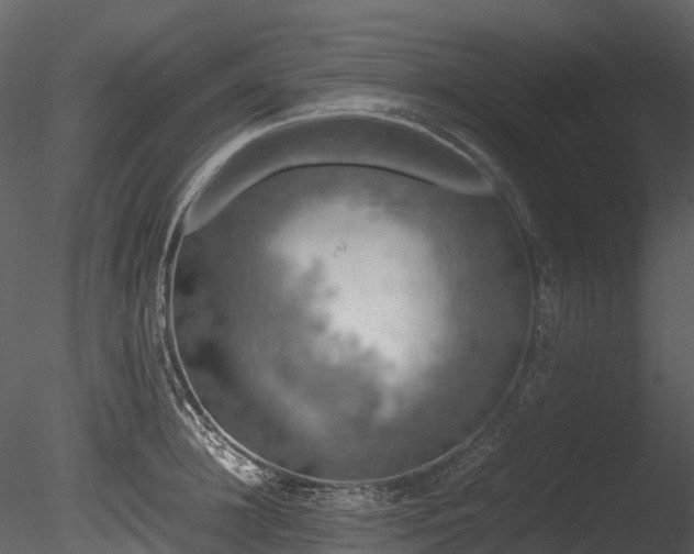 X0000085250948200703161248