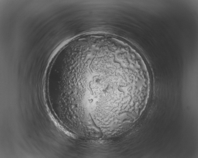 X0000085250949200703161249