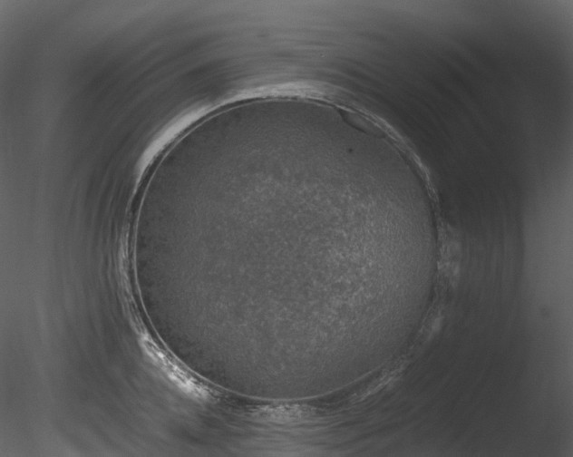 X0000085250952200703161249