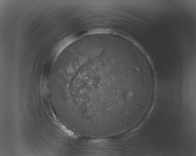 X0000085250953200703161249