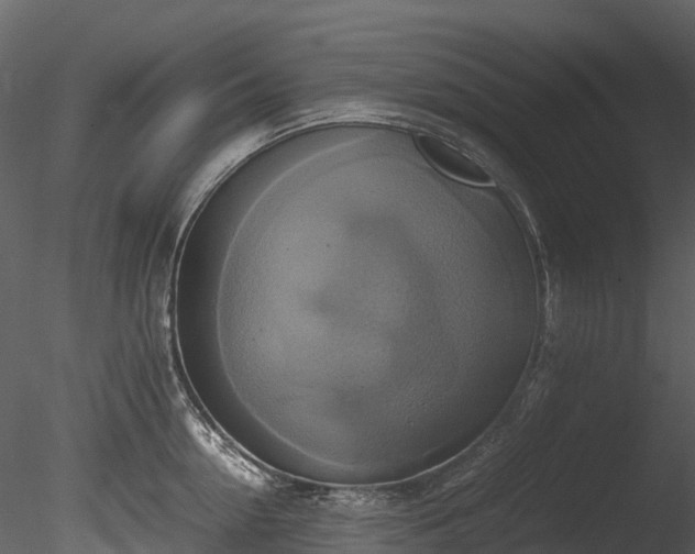 X0000085250954200703161249