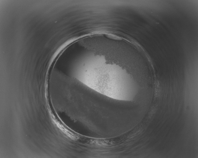 X0000085250955200703161249