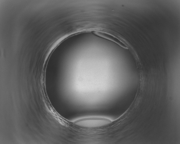 X0000085250956200703161249