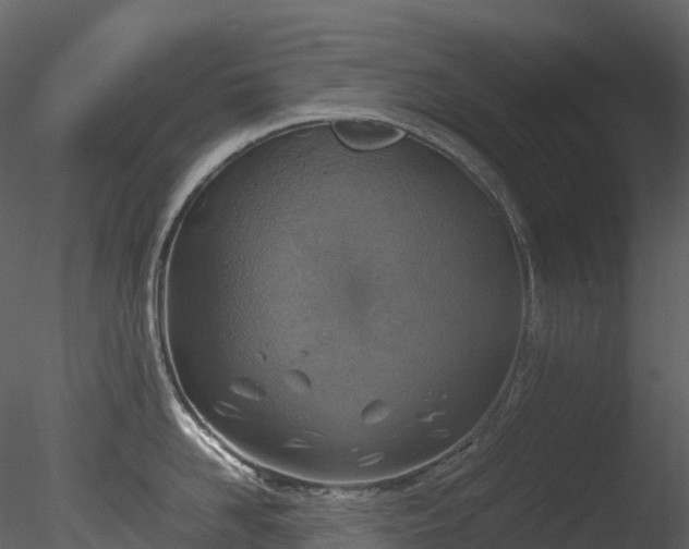 X0000085250958200703161249