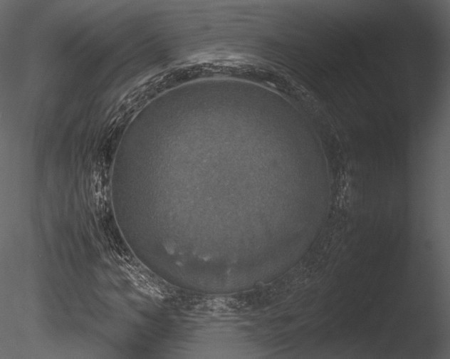 X0000085250966200703161248