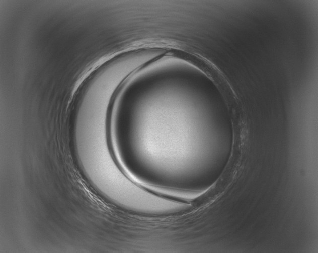 X0000085250973200703161248