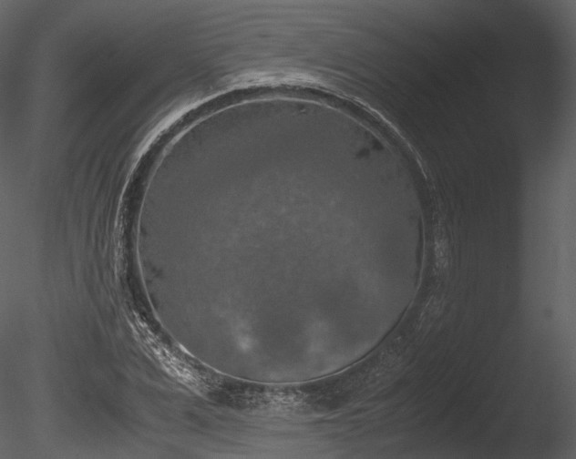 X0000085250975200703161248