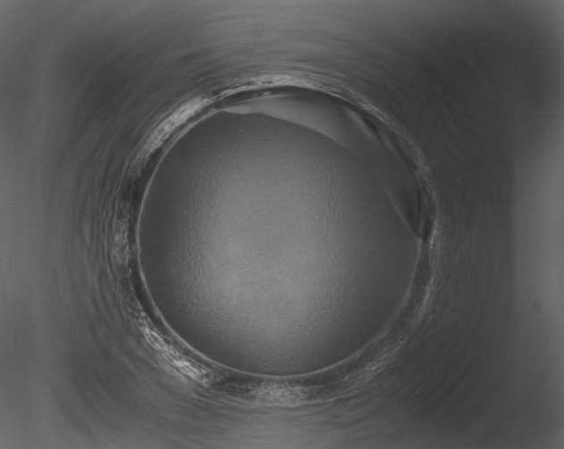 X0000085250977200703161248