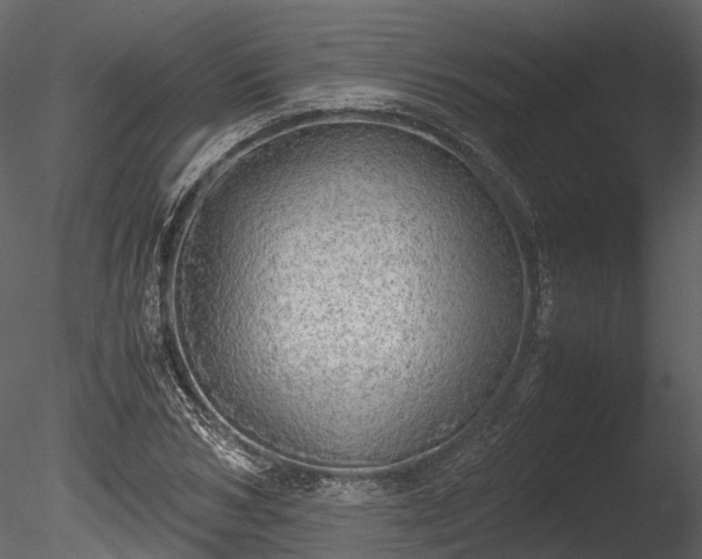 X0000085250978200703161248