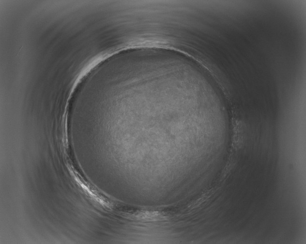 X0000085250982200703161248