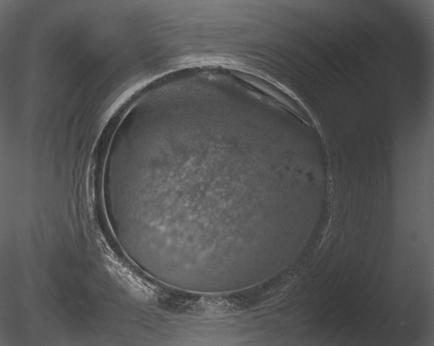 X0000085250983200703161247