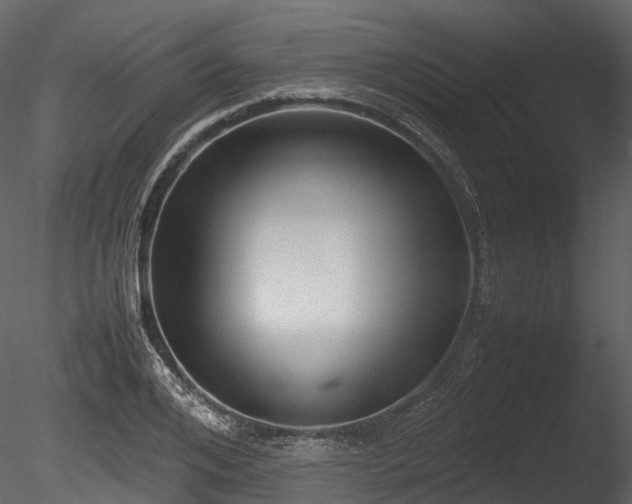 X0000085250984200703161247