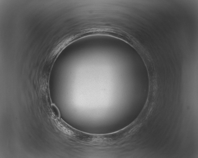 X0000085250985200703161247